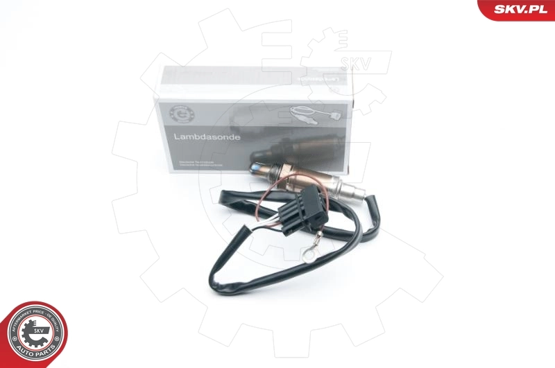 Oxygen Sensor